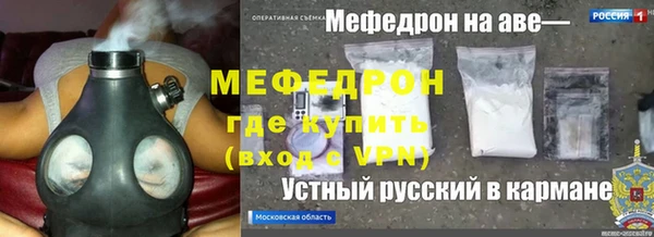 шишки Магас