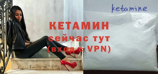 шишки Магас