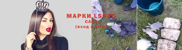 шишки Магас