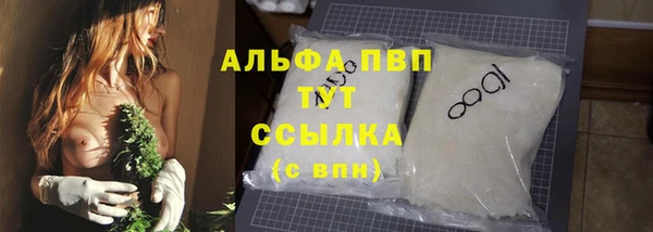 шишки Магас
