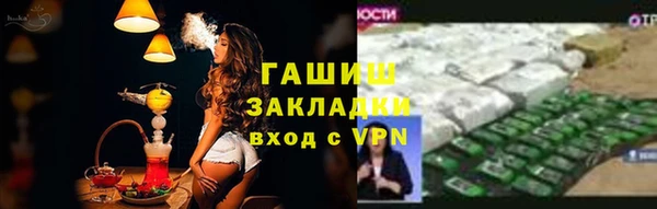 шишки Магас