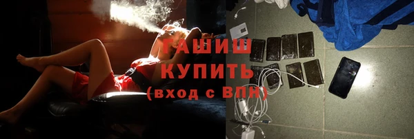 шишки Магас