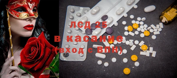 шишки Магас