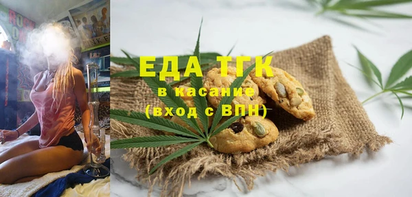 шишки Магас