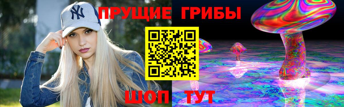 Псилоцибиновые грибы ЛСД  Вход с VPN  Псилоцибиновые грибы прущие грибы  Тихорецк 